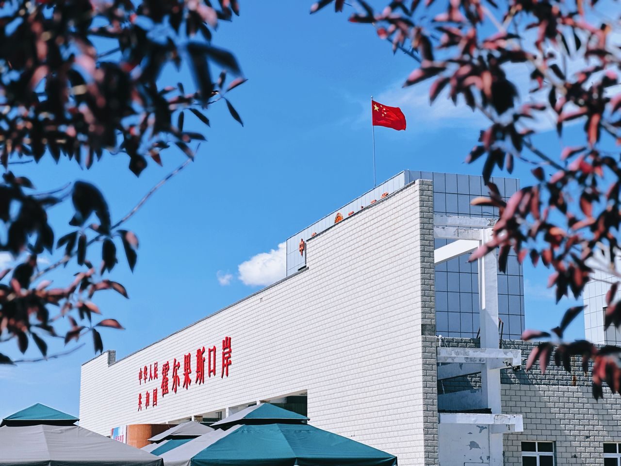 个体户1039出口合规 口岸通关